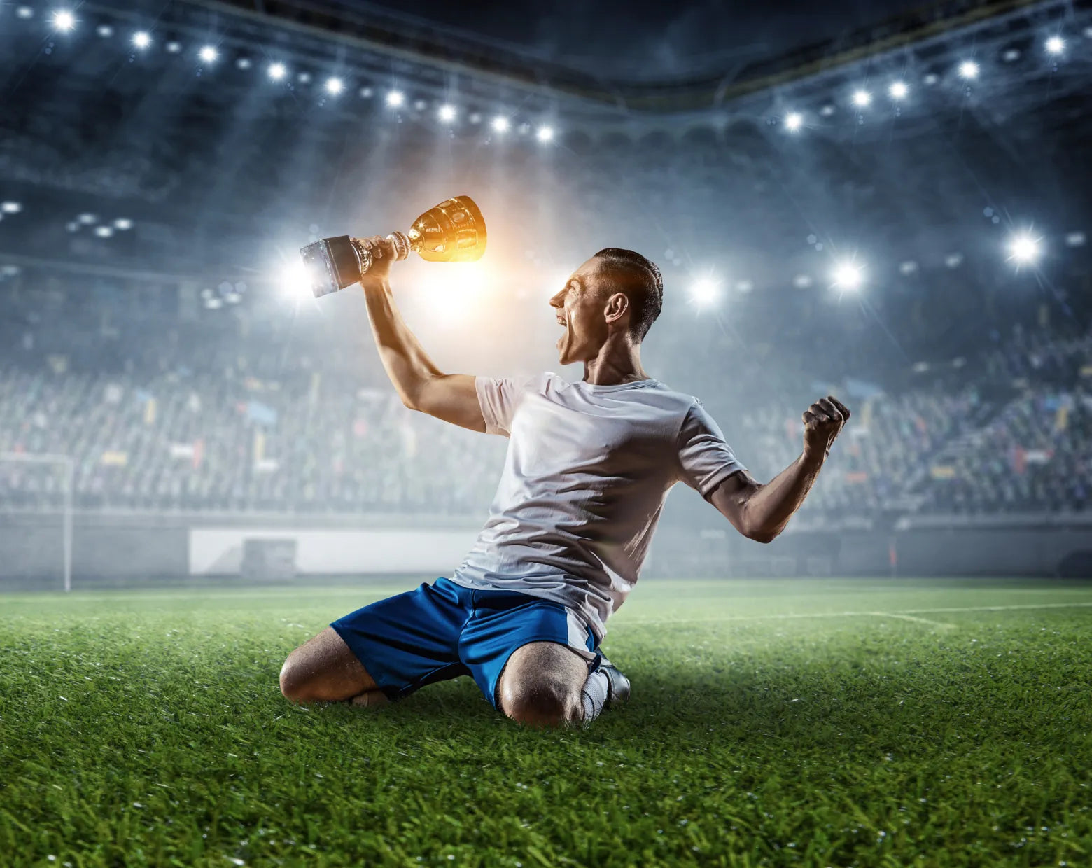 Collection of  in a gallery layout